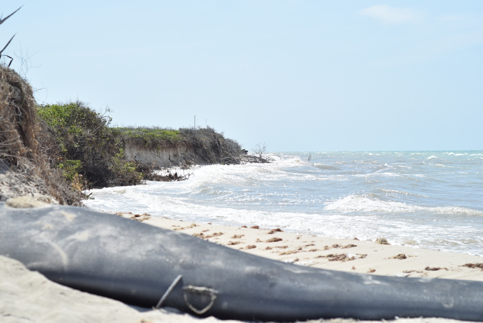 Expertos aseguran que el Cártel de Sisal está acabando con la costa