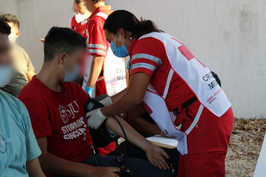 Se pudo corroborar que 67 provienen de Guatemala, 45 de La India, nueve de Brasil, nueve de República Dominicana, siete de Honduras, siete de Cuba, seis de Vietnam y cinco de El Salvador.
