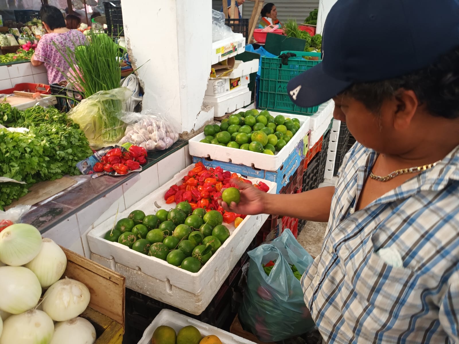 La baja cosecha del producto ha propiciado que los abastecedores del zoco lo traigan desde otras Entidades como Tabasco
