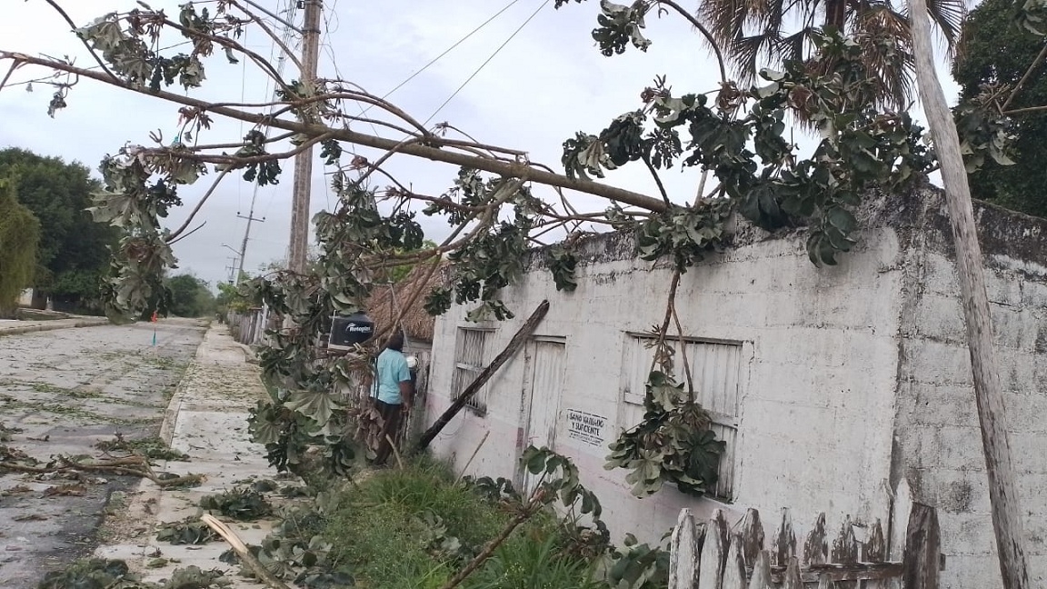En la comunidad de Santa Lucía, reportaron daños materiales, e incluso en algunas viviendas les cayeron ramas en el techo ramas En la comunidad de Santa Lucía, reportaron daños materiales, e incluso en algunas viviendas les cayeron ramas en el techo ramas
