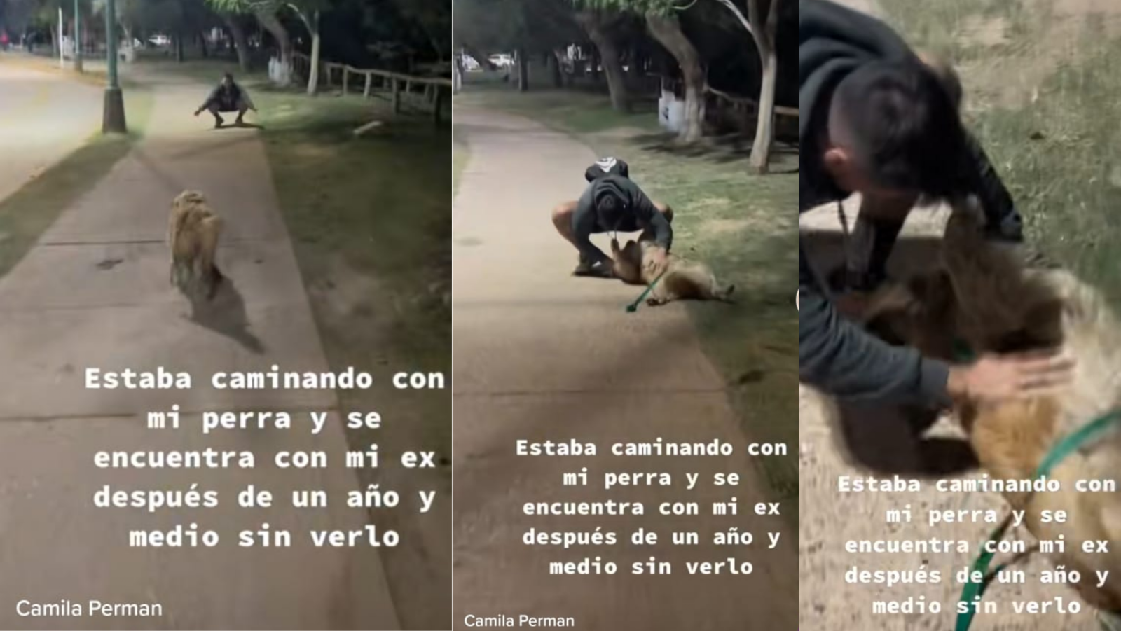 Perrito corre a abrazar al ex de su dueña Perrito corre a abrazar al ex de su dueña