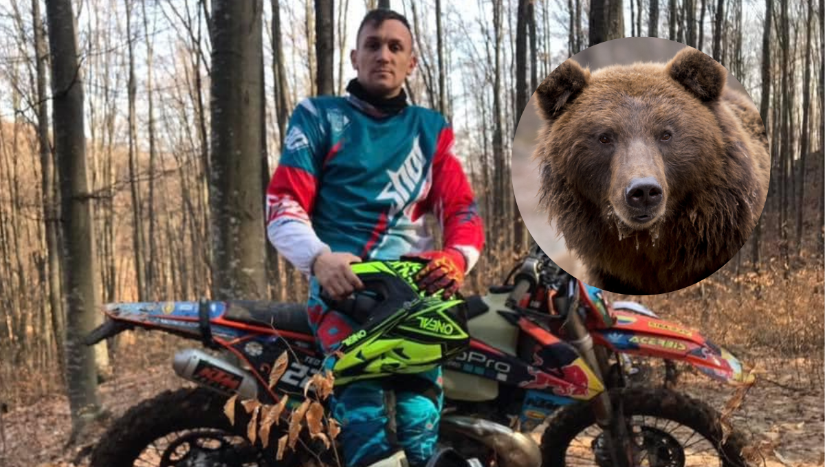 El oso huyó al escuchar el motor de la motocicleta El oso huyó al escuchar el motor de la motocicleta