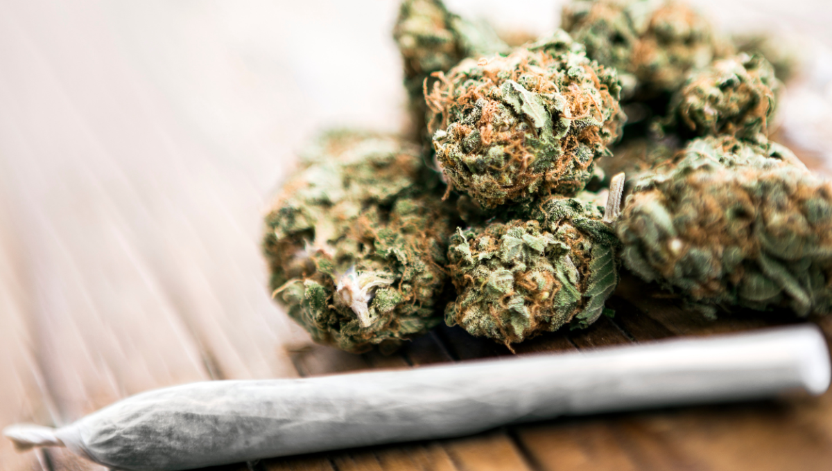 Te contamos que significa este día el 420. Foto: Especial Te contamos que significa este día el 420. Foto: Especial