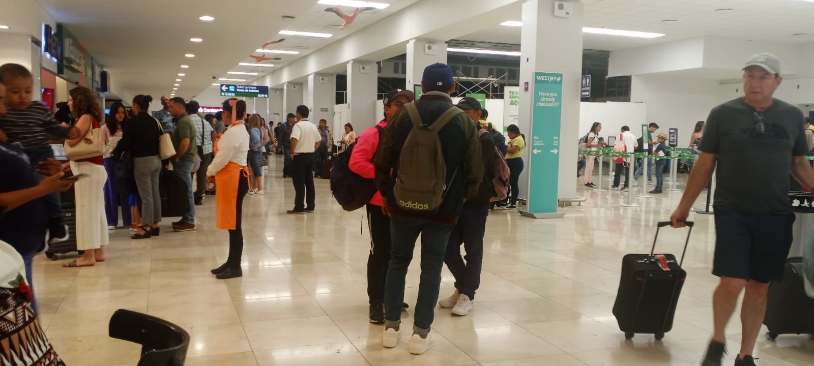 No se reportan retrasos ni cancelaciones en vuelos este viernes No se reportan retrasos ni cancelaciones en vuelos este viernes
