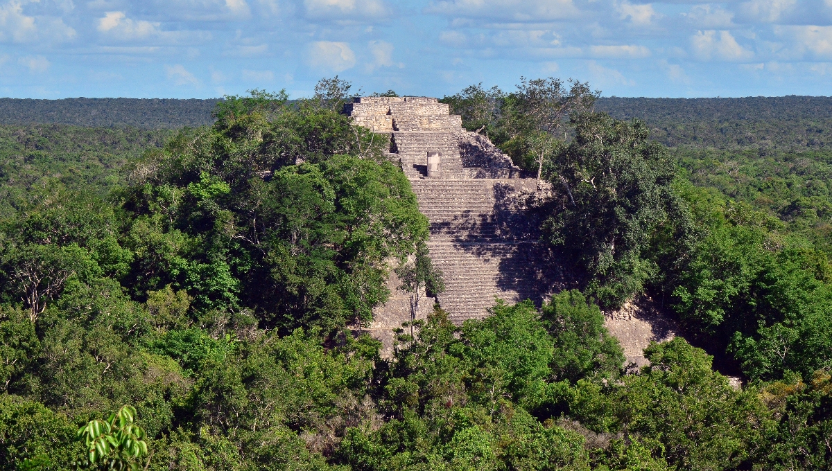 El INAH dio a conocer que el proyecto se encuentra fuera de la poligonal del sitio arqueológico de Calakmul