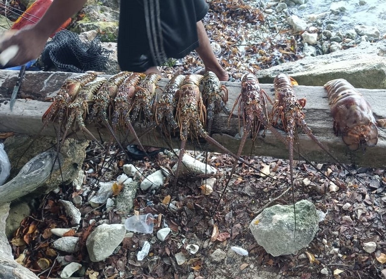 De acuerdo con los voluntarios, a esta área arriban personas que bucean para capturar langosta y caracol joven dentro del Parque Marino Nacional