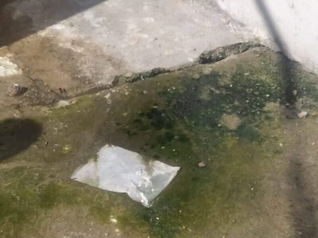Los olores fétidos afectan principalmente a tres viviendas que están frente a la alcantarilla de la que sale el líquido Los olores fétidos afectan principalmente a tres viviendas que están frente a la alcantarilla de la que sale el líquido