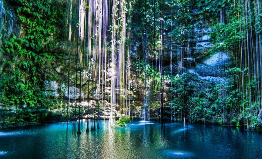 Los cenotes son lugares muy deseados para bucear; pues estos solo se pueden encontrar en Yucatán.