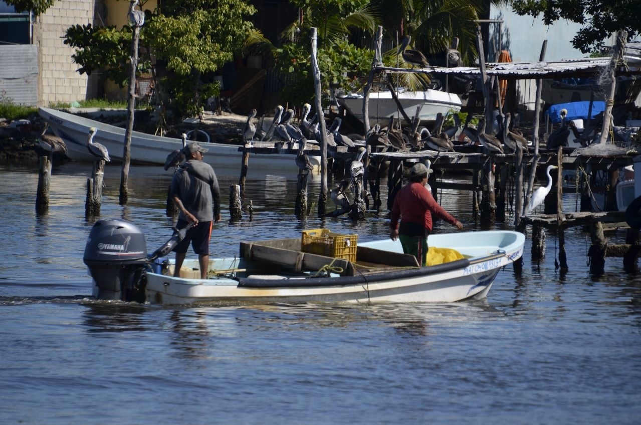 Los pescadores piden reapertura de las zonas de pesca cerca de la Sonda de Campeche Los pescadores piden reapertura de las zonas de pesca cerca de la Sonda de Campeche