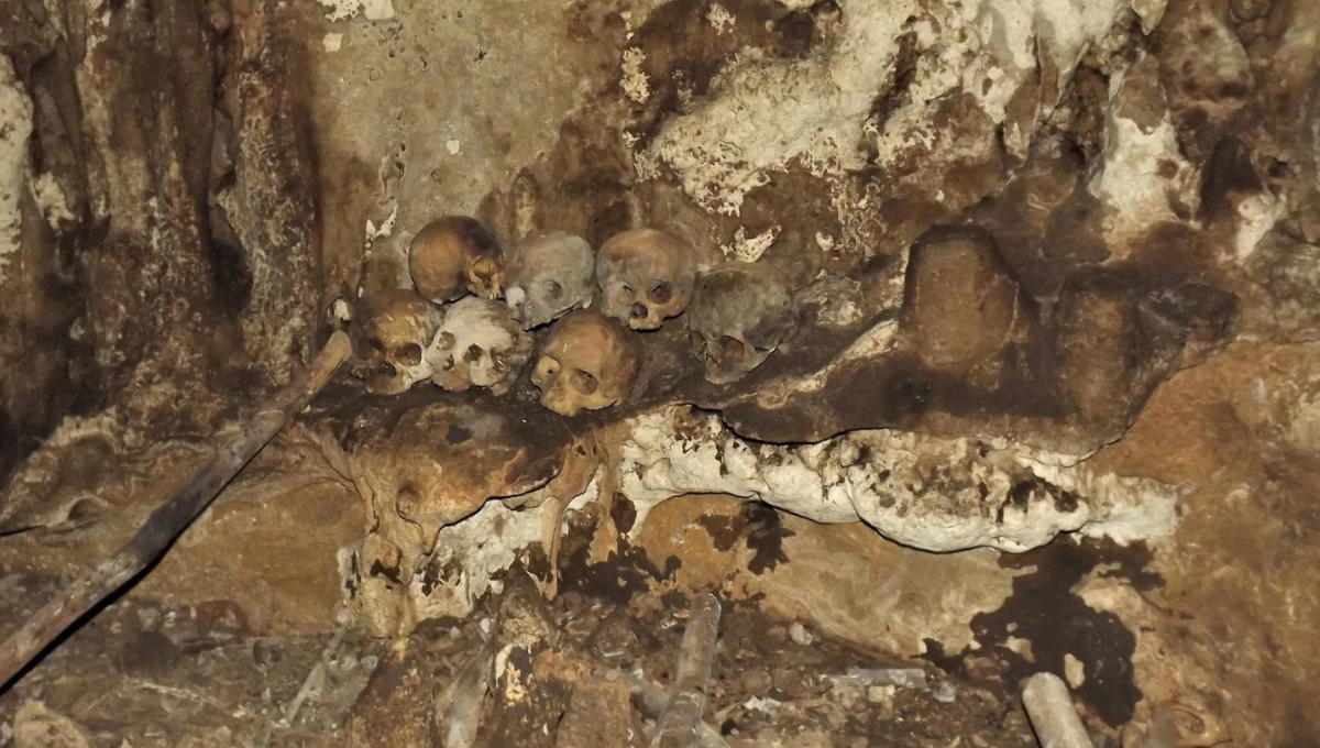 El hallazgo se hizo en la cueva de lazo en Chiapas El hallazgo se hizo en la cueva de lazo en Chiapas