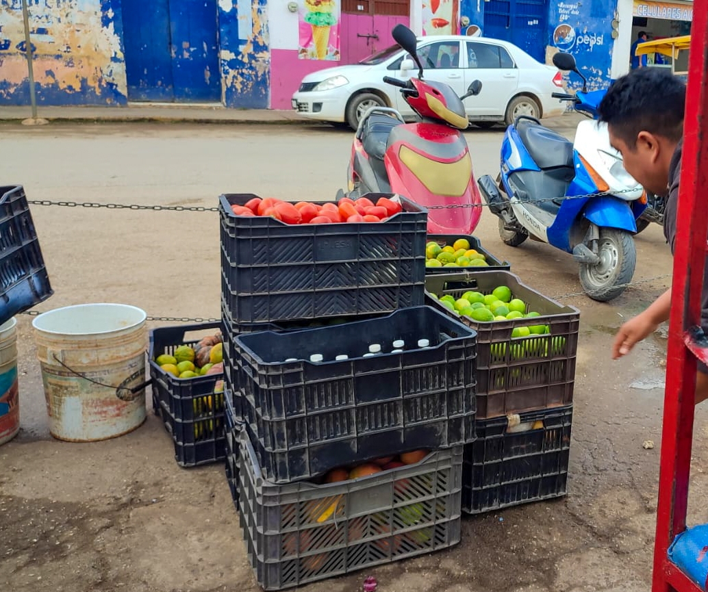 Desciende el precio del limón en Yucatán; se vende en 18 pesos el kilo