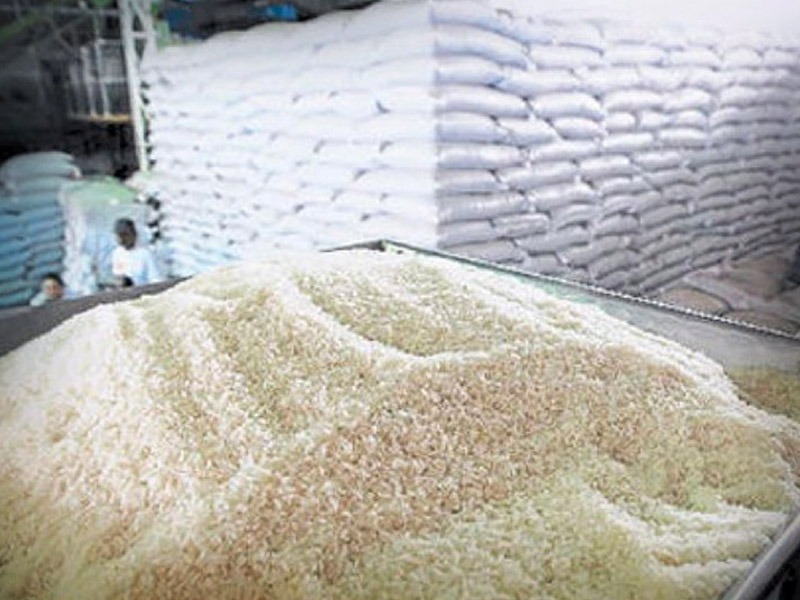 Los productores campechanos puedan sembrar este grano con semillas de mejor calidad y precios de garantía.