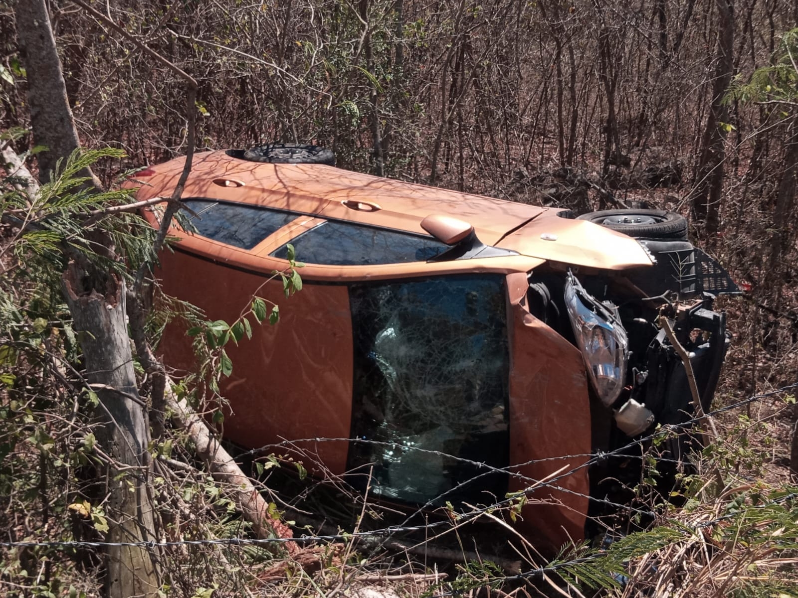 La conductora terminó entre la maleza de la carretera Mérida-Motul