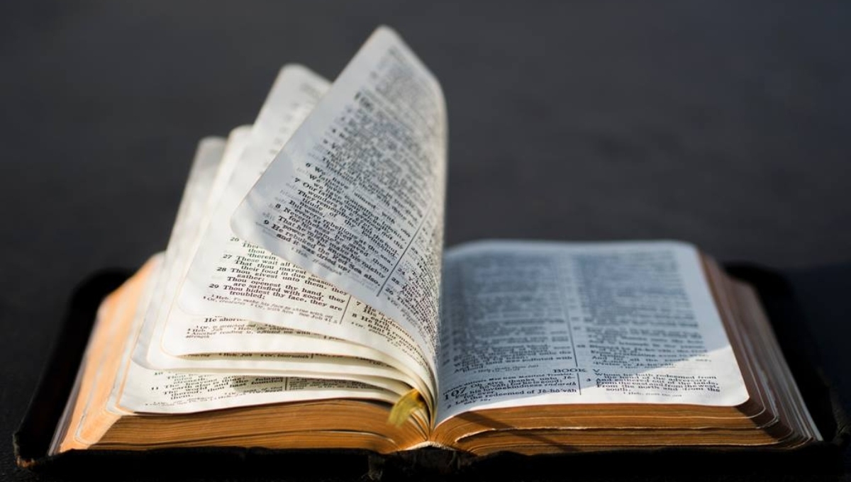 Leer la Biblia es algo que se invita hacer el Viernes Santo Leer la Biblia es algo que se invita hacer el Viernes Santo