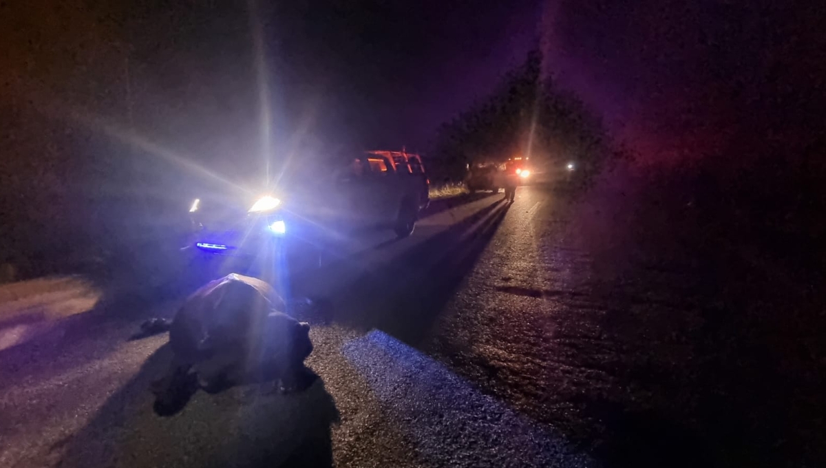 El conductor quedó prensado entre el volante y con una fractura