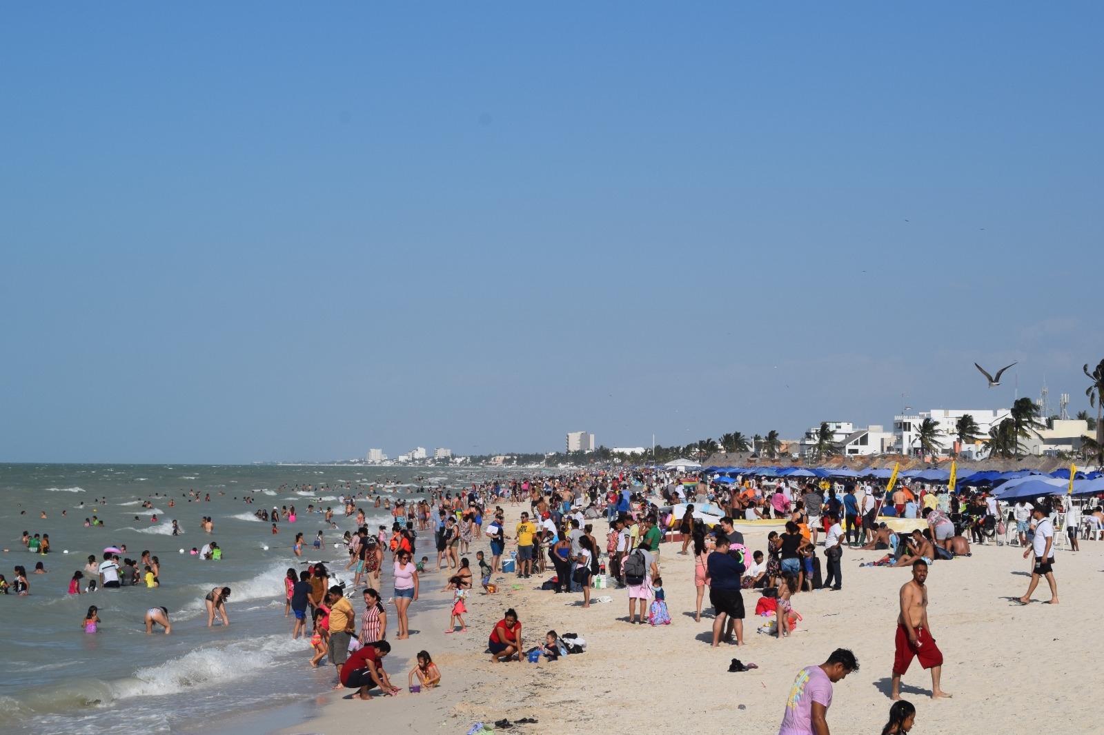 Fue en 2019 cuando se registró la última llegada masiva de bañistas a Progreso
