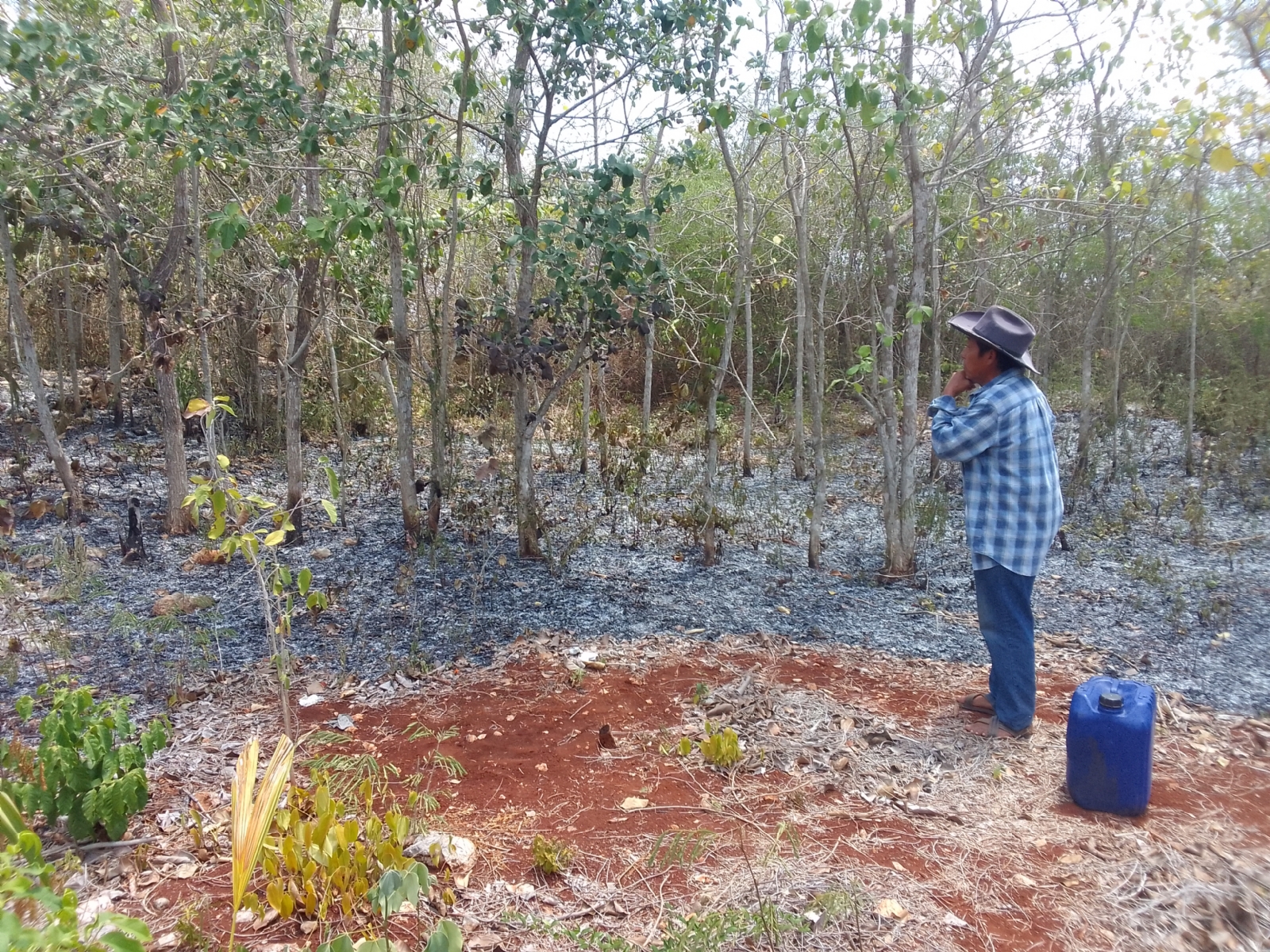 Cenobio Cen, responsable del lugar, señaló que el siniestro inició en los terrenos de la exmaquiladora, a la entrada del poblado Cenobio Cen, responsable del lugar, señaló que el siniestro inició en los terrenos de la exmaquiladora, a la entrada del poblado
