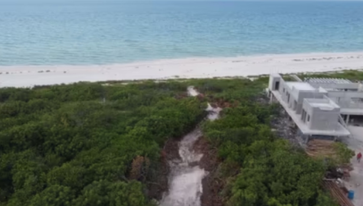 Estos proyectos también dañan las costas yucatecas