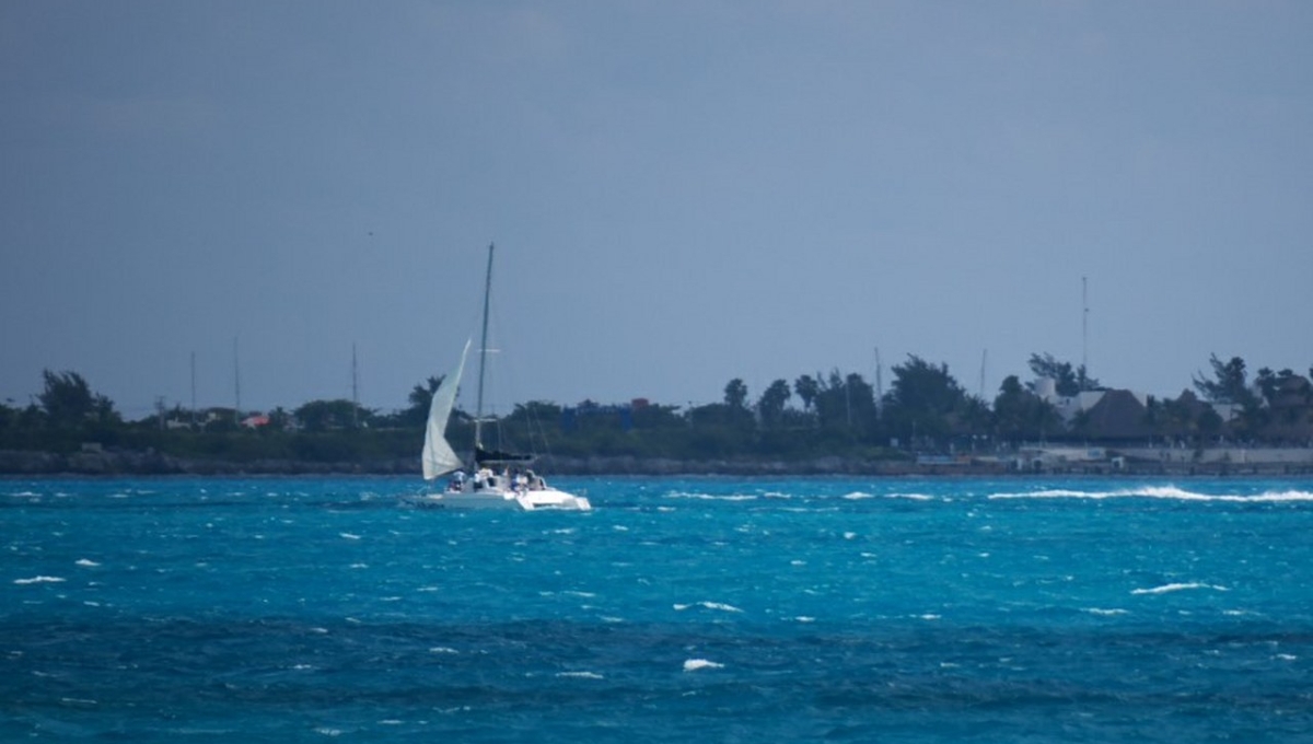 Llegan los primeros tiburones ballena a Isla Mujeres; temporada de avistamiento inicia el 15 de mayo