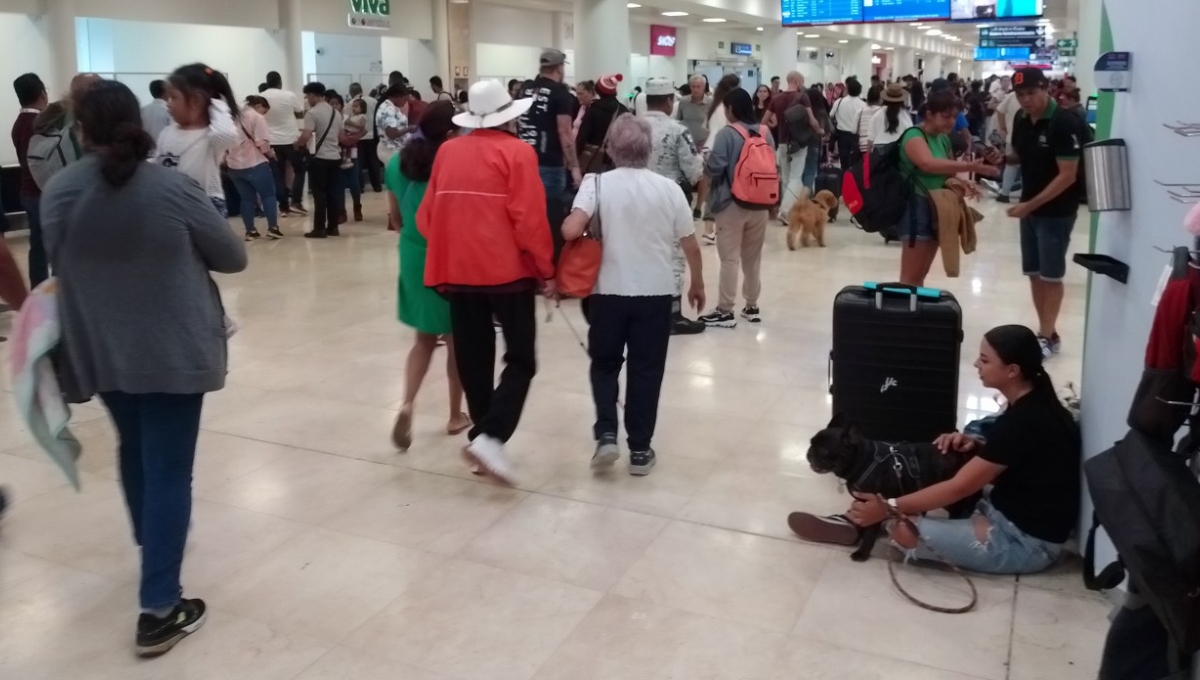 El “peludito” ayuda a su dueña para combatir la ansiedad que ésta sufre