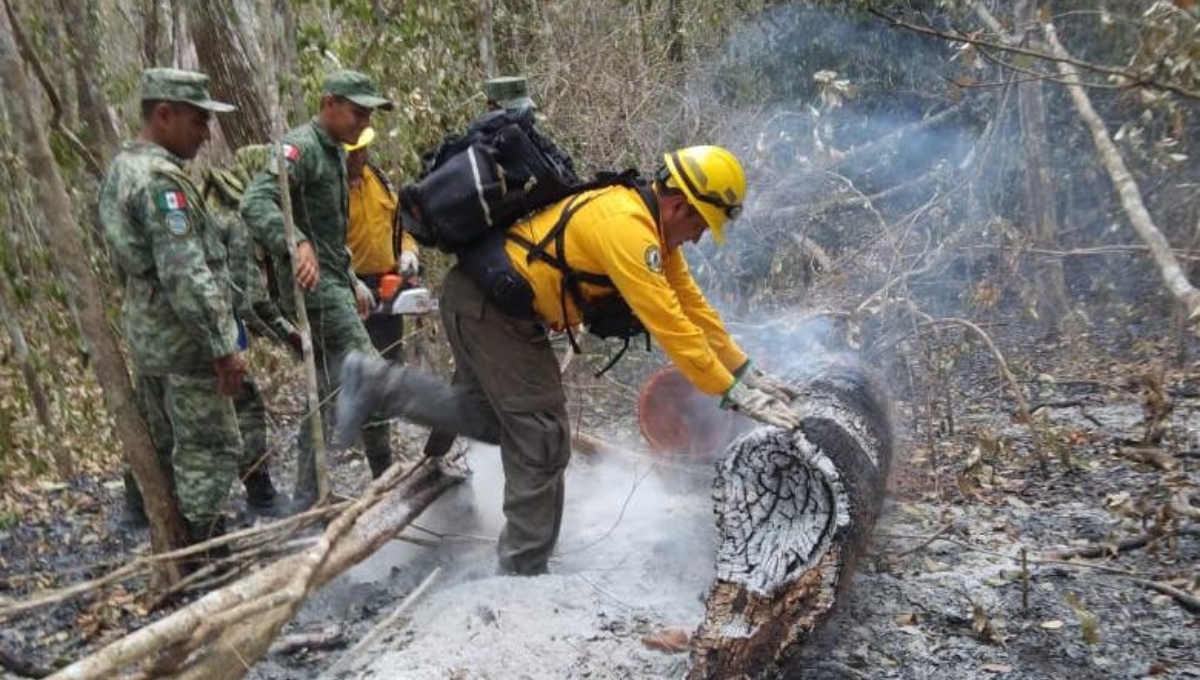 El incendio ya cuenta con un 25% de control El incendio ya cuenta con un 25% de control