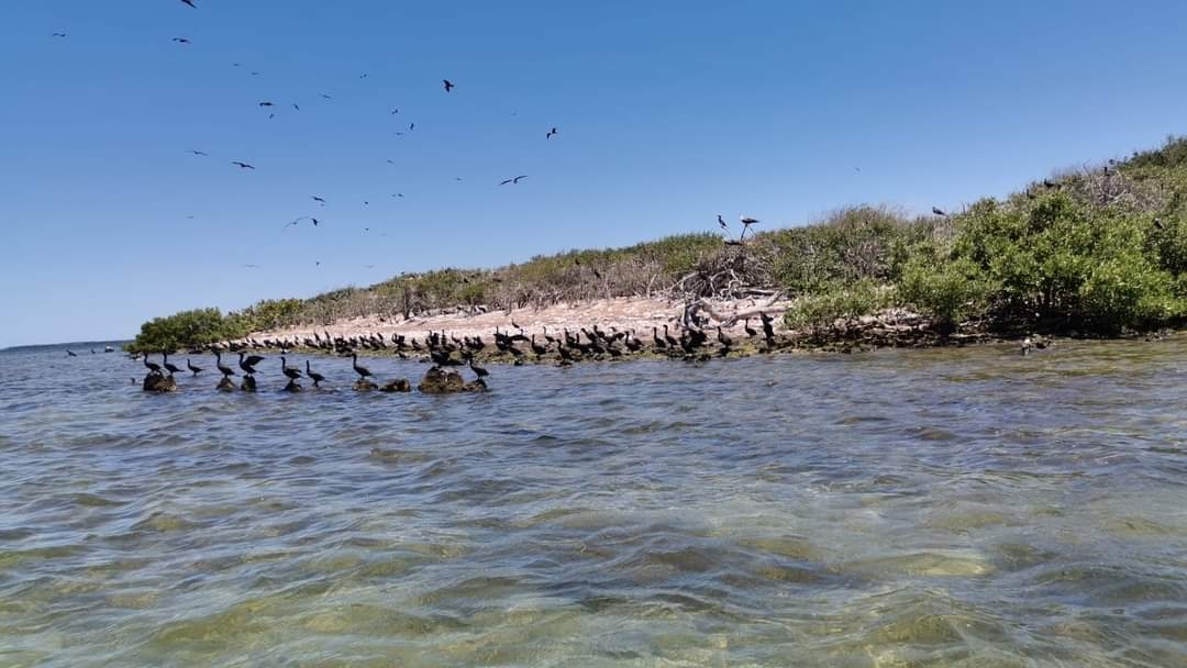 Este es el edén ubicado en San Felipe, Yucatán, que maravilla a los turistas