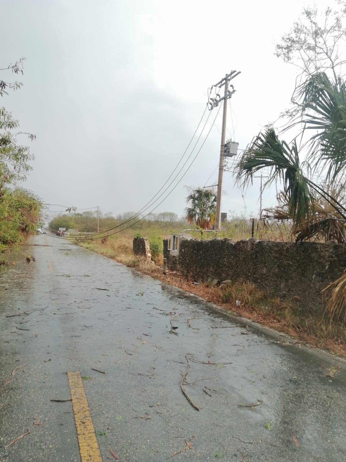 Cabe mencionar que en Motul no se reportaron daños y tampoco apagones, sólo algunos vientos leves y lluvia intermiten