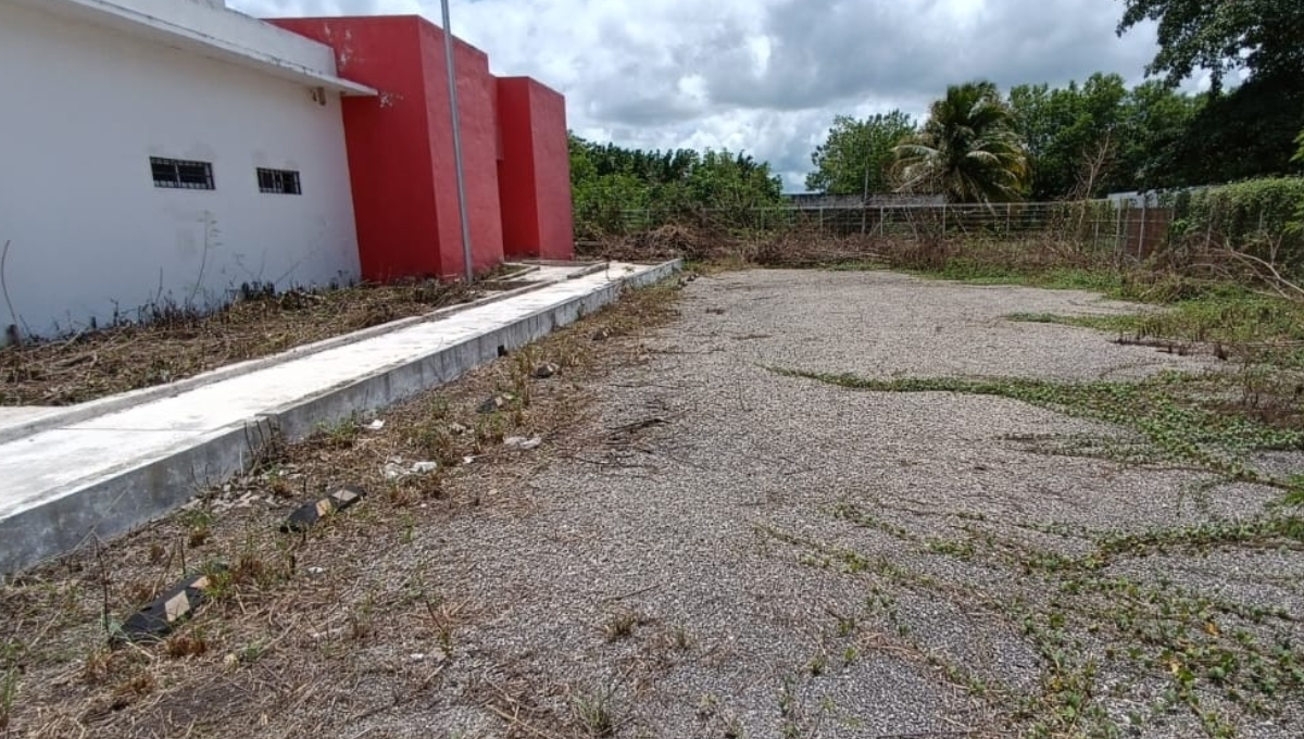 La hierba invade las instalaciones que se empeoran ante la falta de mantenimiento La hierba invade las instalaciones que se empeoran ante la falta de mantenimiento
