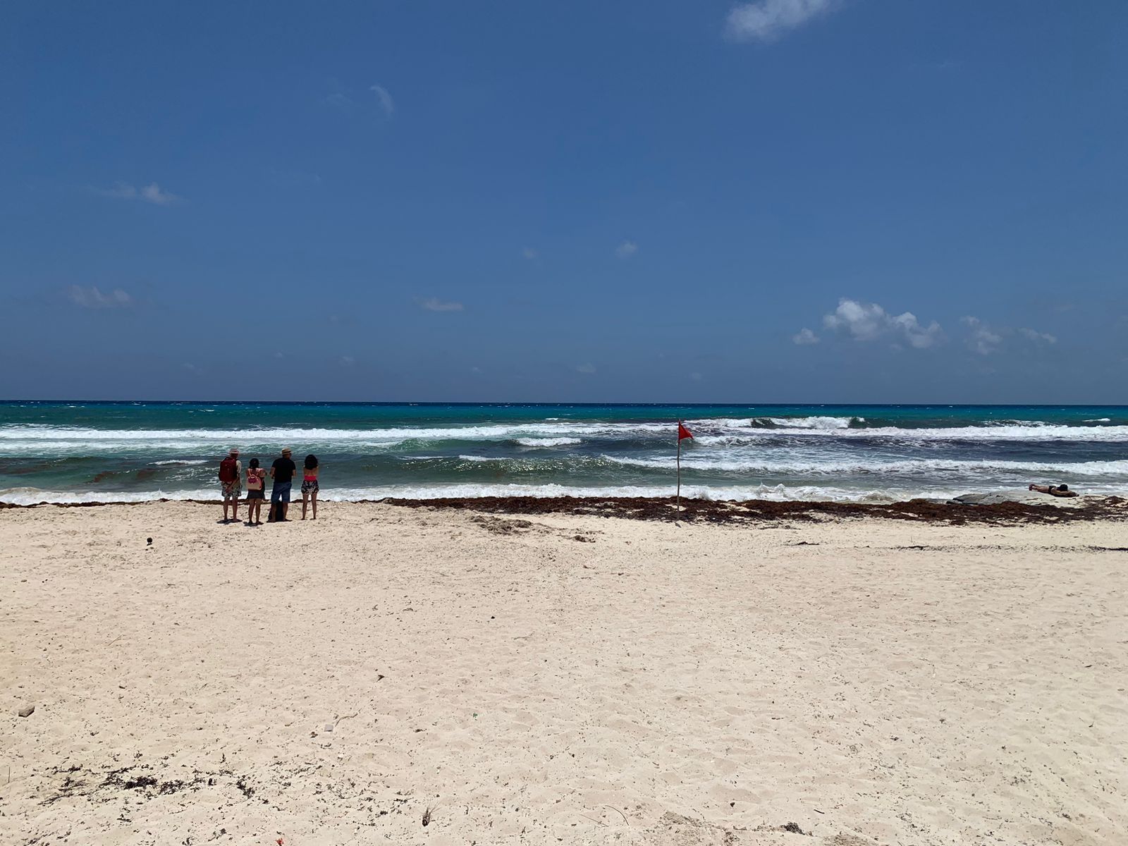 El sargazo ahuyentó a los turistas El sargazo ahuyentó a los turistas