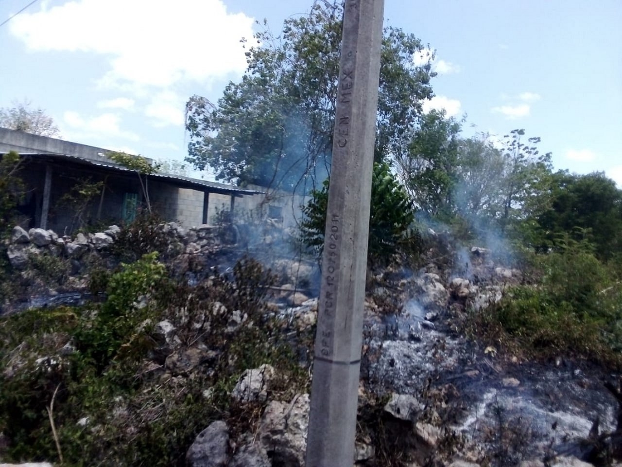 La sequía actual podría generarse con facilidad un incendio La sequía actual podría generarse con facilidad un incendio