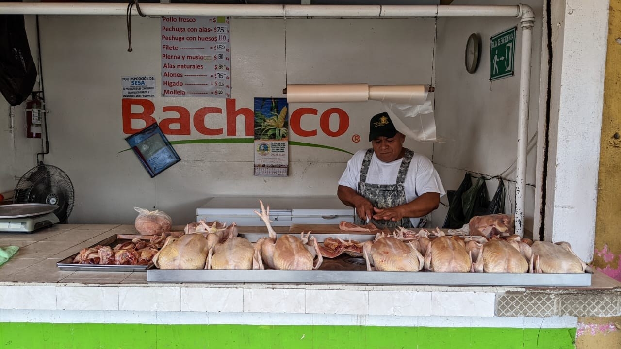 Durante un recorrido que se hizo el pasado mes de marzo, en diversos expendios de los mercados el kilogramo del ave rondaba entre 55 y 60 pesos Durante un recorrido que se hizo el pasado mes de marzo, en diversos expendios de los mercados el kilogramo del ave rondaba entre 55 y 60 pesos