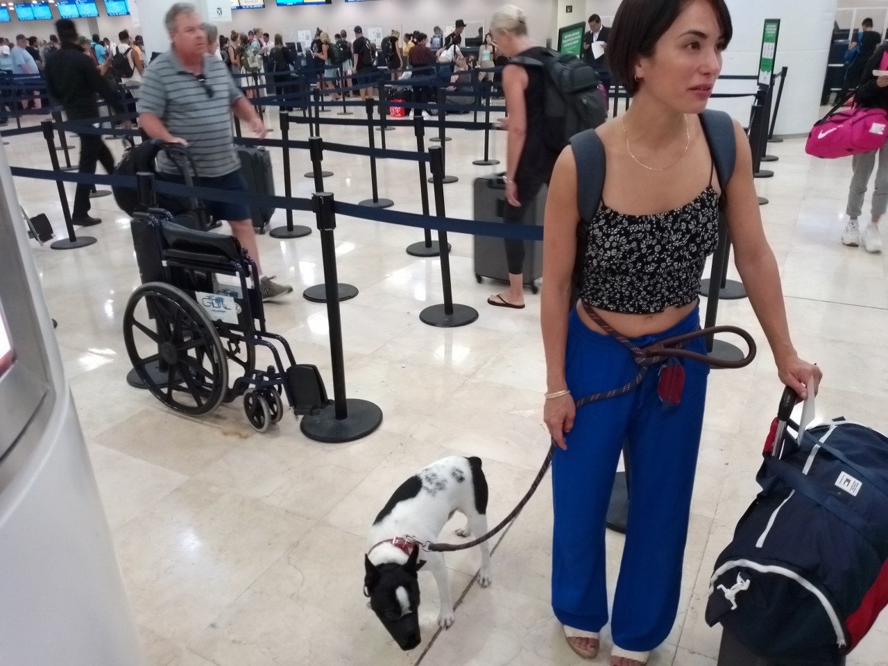 El “lomito” y su dueña se encontraban en la Terminal 2 del Aeropuerto para documentar antes de subir a su avión