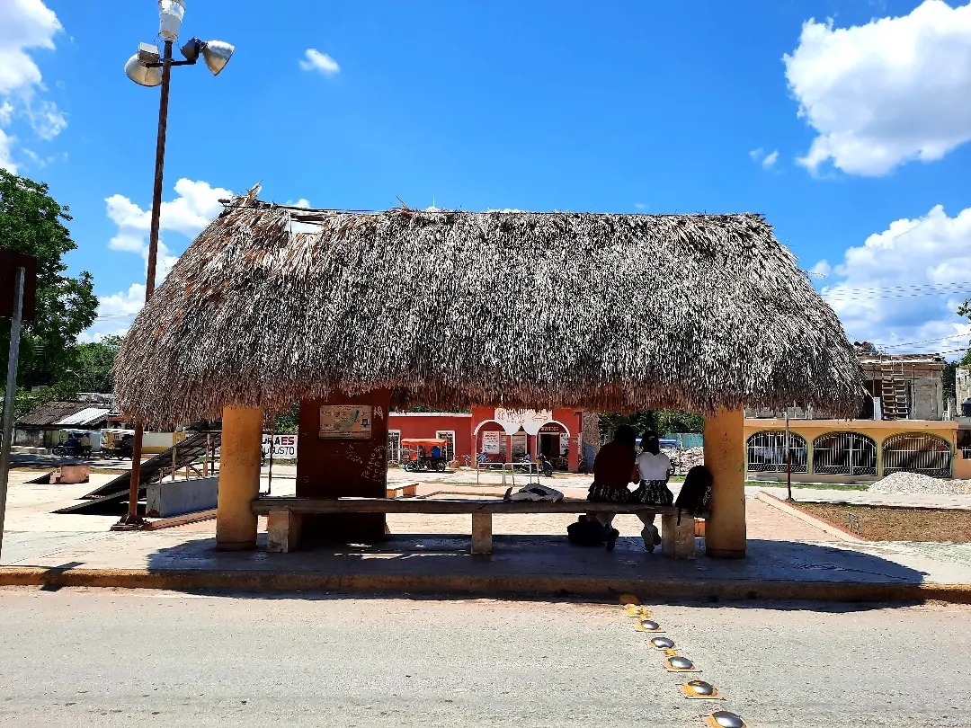 Este paradero es ideal para esperar el camión y no sufrir con el calor