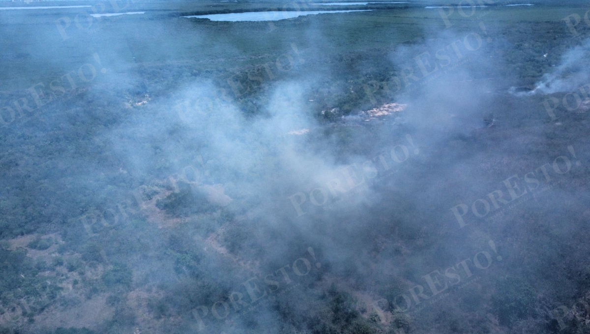 De acuerdo con los rescatistas el incendio ha logrado expandirse derivado de los vientos De acuerdo con los rescatistas el incendio ha logrado expandirse derivado de los vientos