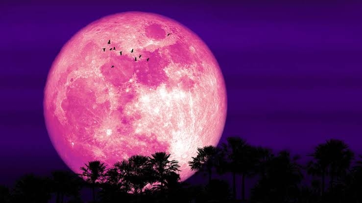 Luna de fesa 2023 Luna de fesa 2023