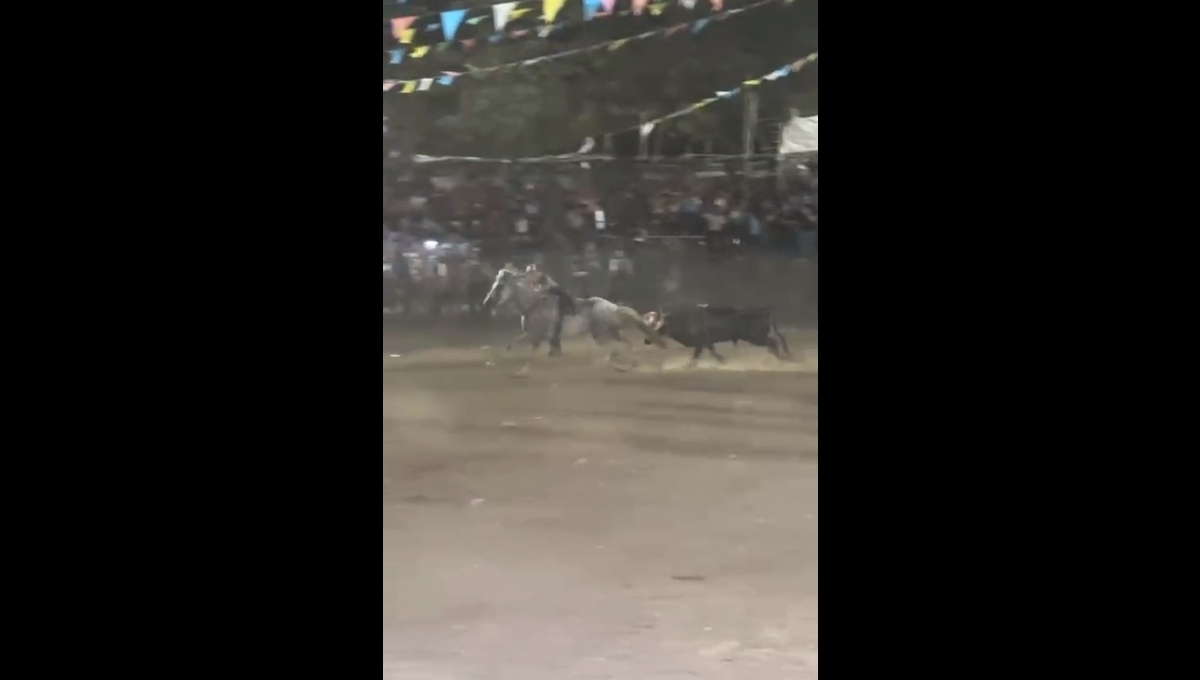 Toro persigue a vaquero durante la fiesta tradicional de San Isidro labrador Toro persigue a vaquero durante la fiesta tradicional de San Isidro labrador