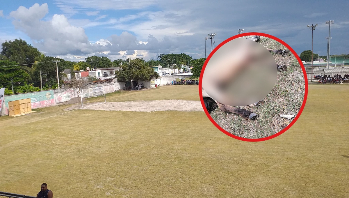 Los vecinos temen de contagiarse de alguna enfermedad