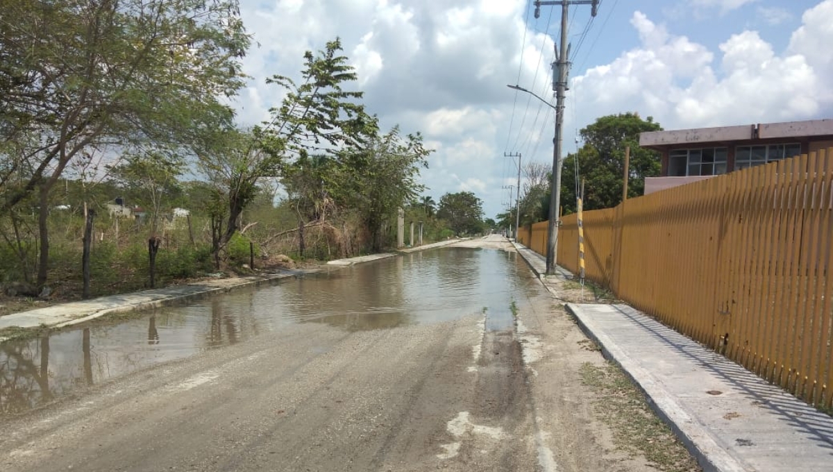 Vecinos piden que las autoridades limpien los drenajes y bacheen las calles Vecinos piden que las autoridades limpien los drenajes y bacheen las calles