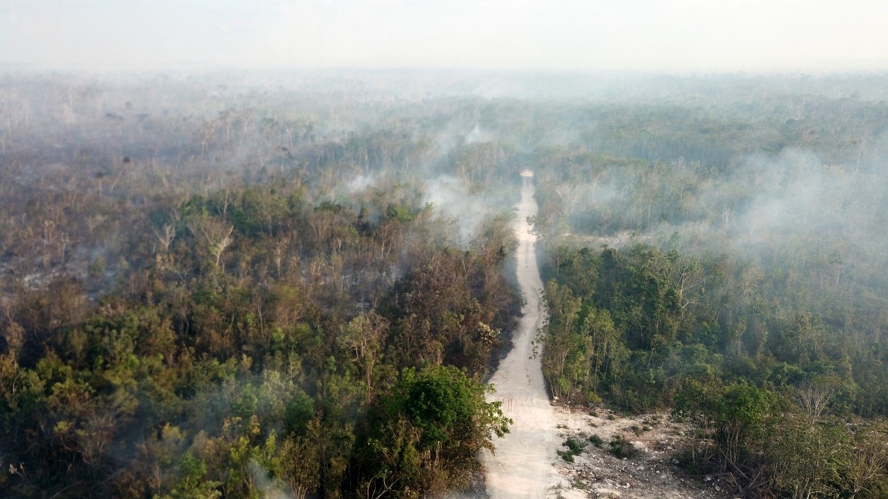 Se cuenta con 75 combatientes en el Grupo Estatal de Manejo de Fuego Se cuenta con 75 combatientes en el Grupo Estatal de Manejo de Fuego