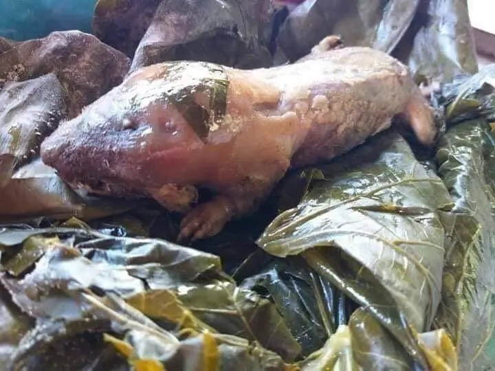 La tuza se prepara de diversas formas en comunidades de Yucatán