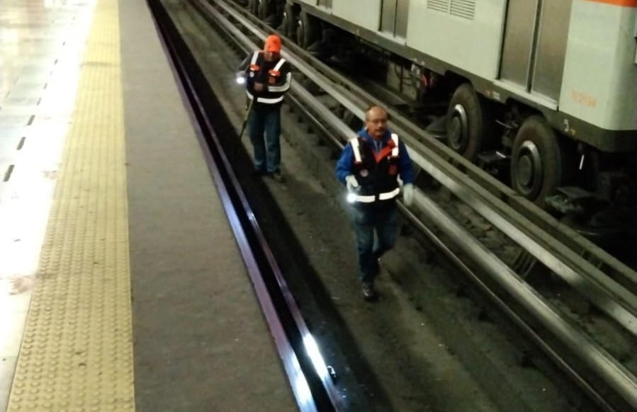 Metro CDMX busca cacomixtle visto en vías de la Línea 7