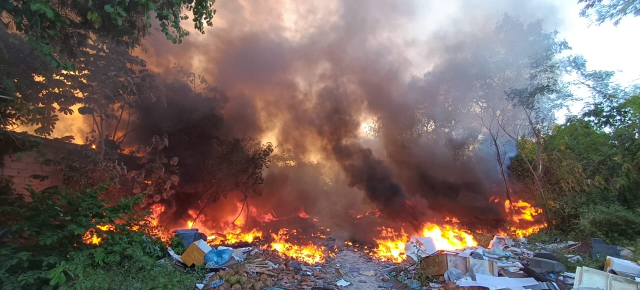 Basura de todo tipo, fue calcinada está tarde en un predio utilizado como basurero clandestino ubicado en la Región 209