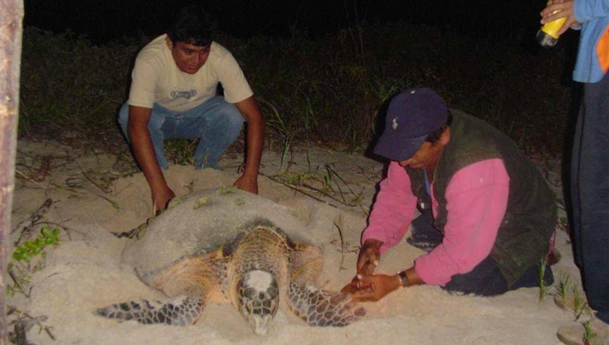 Ambientalistas acusan a pescadores de tapar el paso con sus redes
