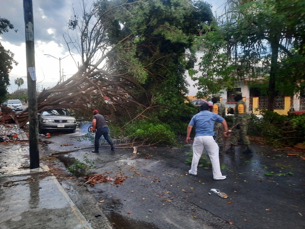 Permanecen en el hospital sólo dos hombres a los que les cayó un árbol