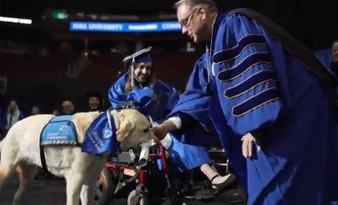 Después de que Justin recibiera el diploma, el propio Nyre agitó triunfalmente las manos en el aire y la multitud enloqueció. Después de que Justin recibiera el diploma, el propio Nyre agitó triunfalmente las manos en el aire y la multitud enloqueció.