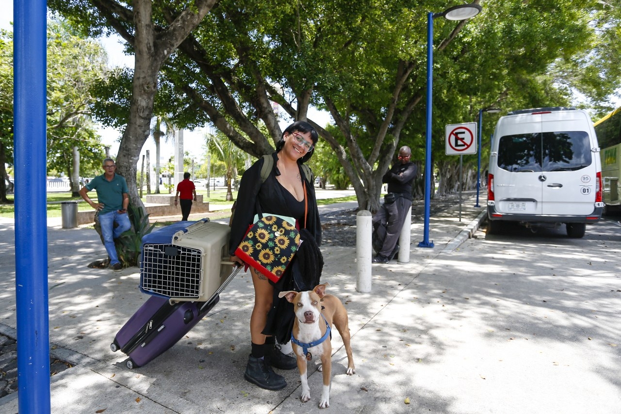 Las aerolíneas delimitan cuáles si son mascotas y cuáles son para apoyo emocional Las aerolíneas delimitan cuáles si son mascotas y cuáles son para apoyo emocional