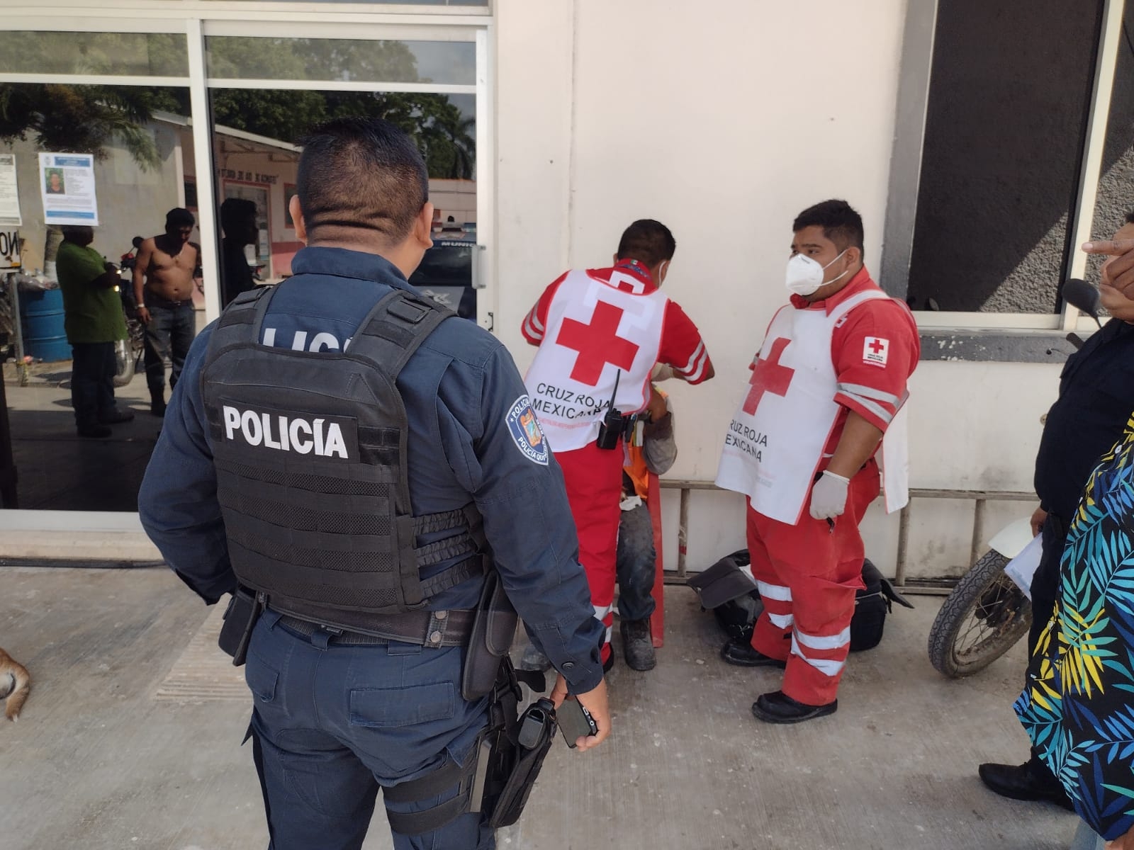 Se registró en las inmediaciones del campamento del Tren Maya