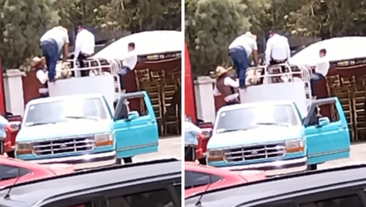 Cuacolandia pidió que le permitan el decomiso del caballo
