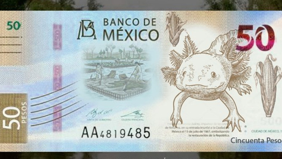 Estos billetes son considerados objetos de colección