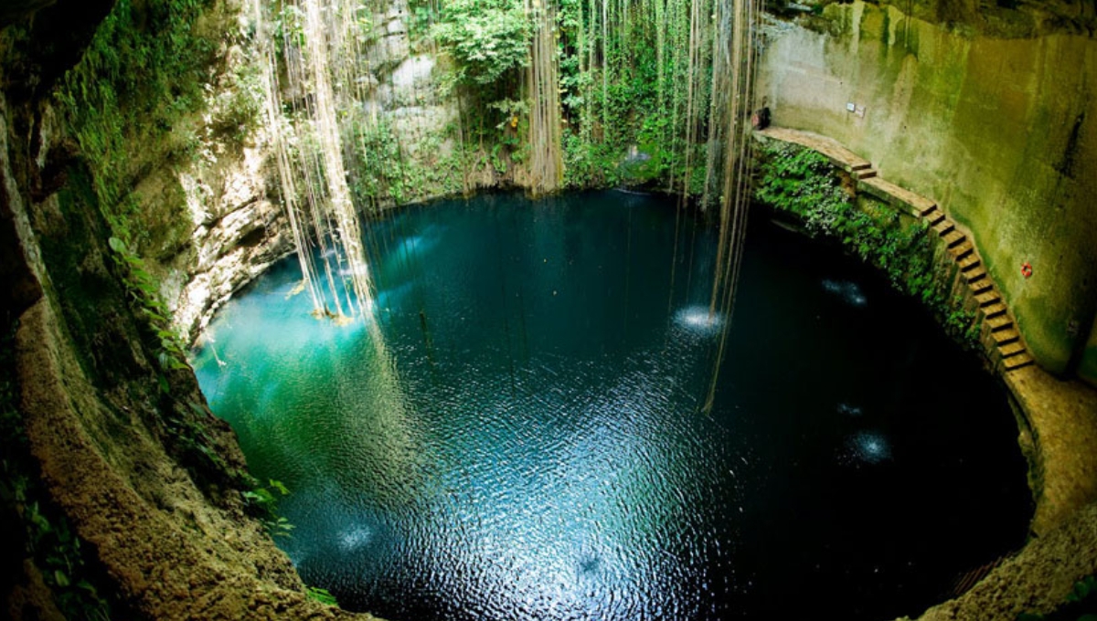 Algunos cenotes están cerrados por estar muy contaminados Algunos cenotes están cerrados por estar muy contaminados